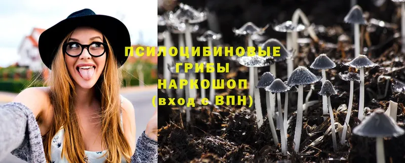 Псилоцибиновые грибы Magic Shrooms  Ульяновск 